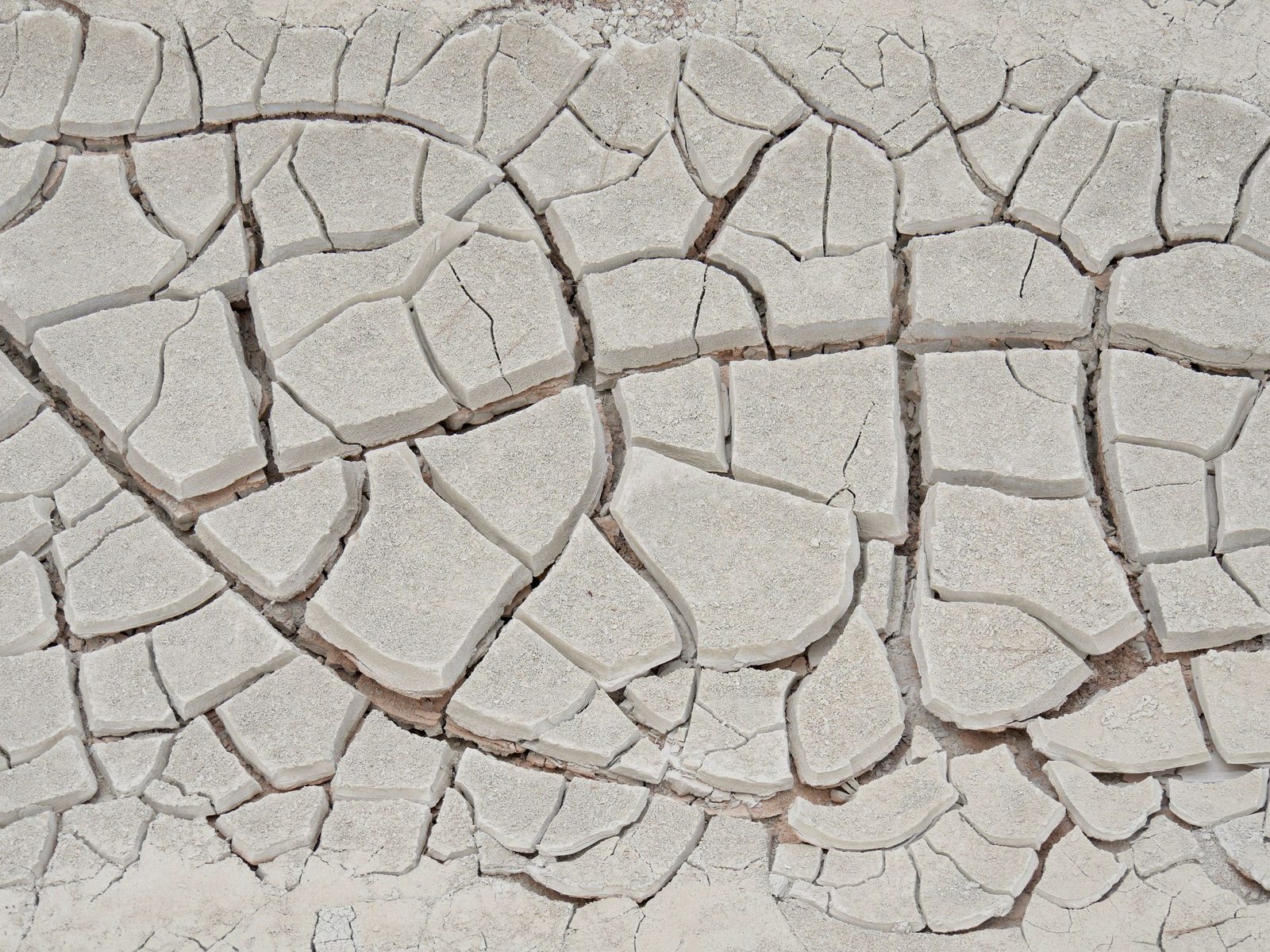 Dried and cracked bentonite clay, showing its swelling behaviour