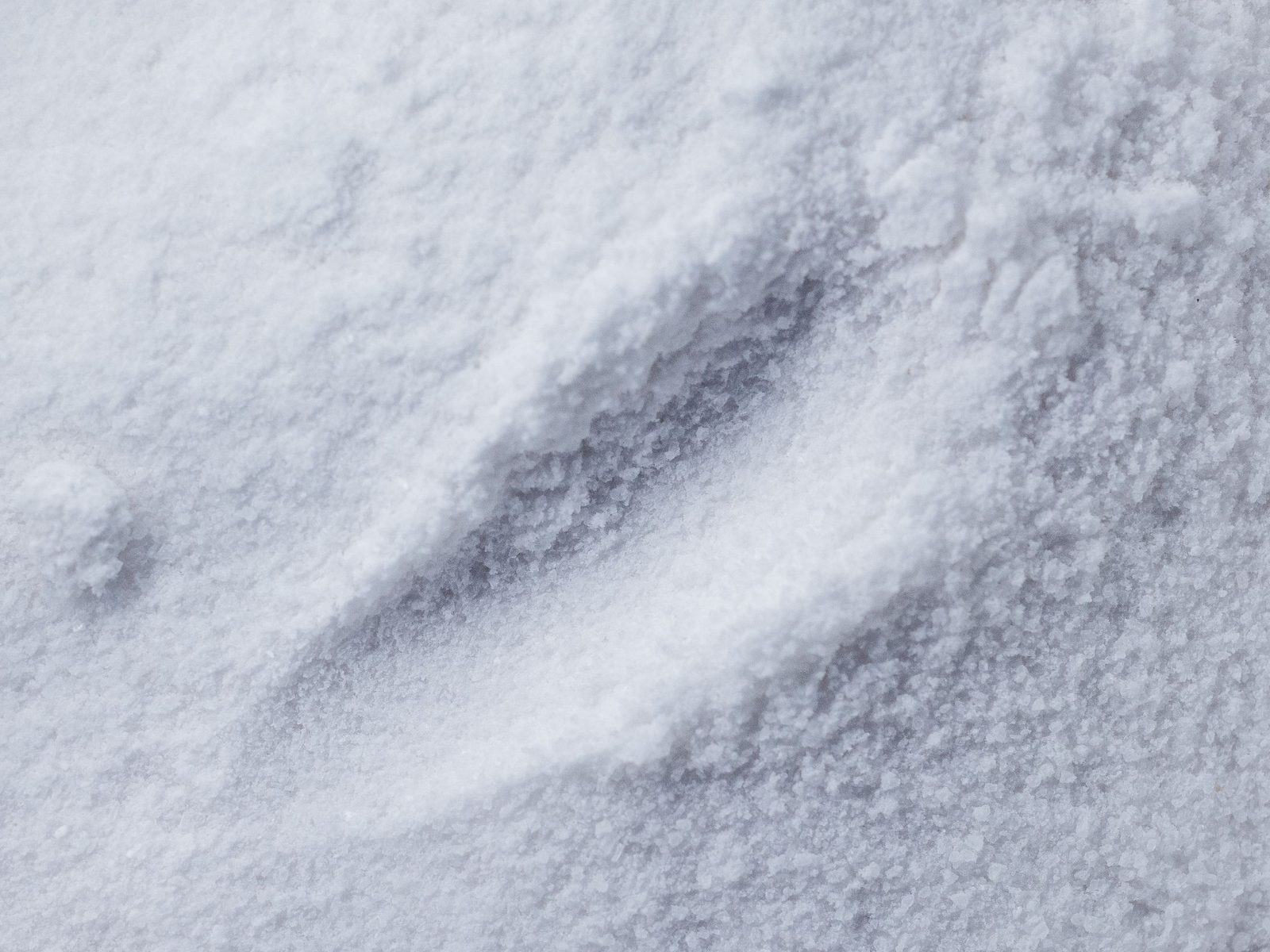 Macro view of dolomite powder texture