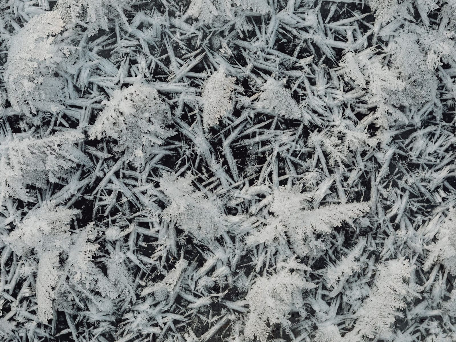 Needle-like white crystals, echoing wollastonite's acicular structure